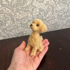 羊毛プードルちゃん