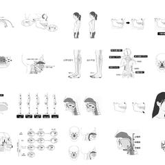 歯科専門書籍用イラスト作製