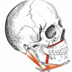 歯科専門書籍の装丁用イラスト