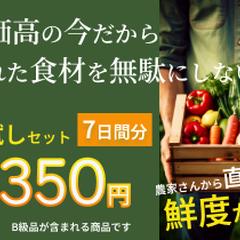 新鮮野菜/直送便