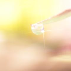 ハウス食品様に記名記事のメディカルライティングを寄稿