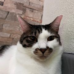 人生相談