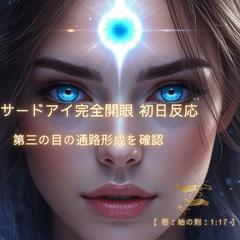 【実際のフィードバックイメージ】第三の目 通路形成