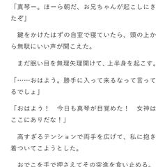 シスコン兄もののポートフォリオ