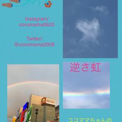 ココママちゃんの恋愛数秘術