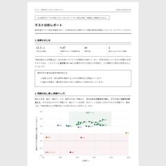 テストの項目分析・IRT分析レポート(見本)