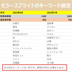 セラースプライト商品選定（スクレイピング＋Excel処理）