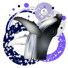 ザトウクジラ✖ダイナミックジャンプ