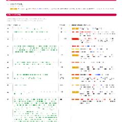 データ分析にもとづくSEO・集客改善