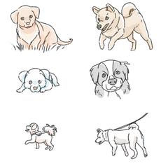 イラスト参考６