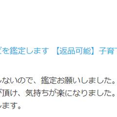 高校生の「不登校・いじめ・勉強」などを鑑定します。
