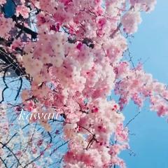 4月❀新生活のはじまりですね〜.ᐟ