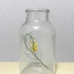 息子がくれたお花❀ ‪‪*°