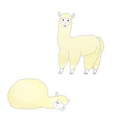 アルパカ