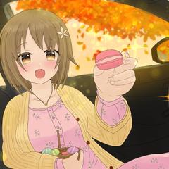 一枚絵