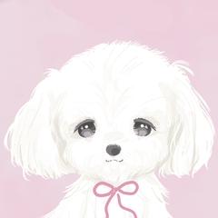 マルチーズイラスト