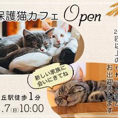 猫カフェオープン(例)バナー