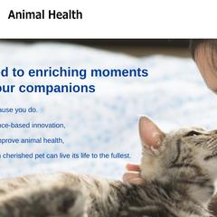  TORAY（東レ）動物薬海外向け英文広告コピーライティング