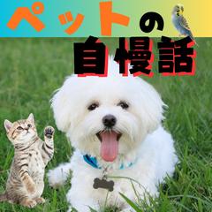 ペット自慢♡親バカ愛トーク大歓迎！全部受け止めます