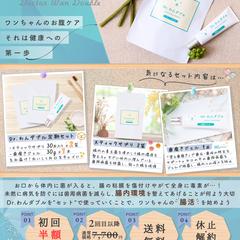 ペット用品 通販会社 様のチラシ(A4)