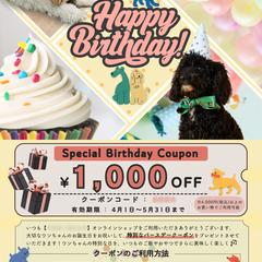 ペット用品 通販会社 様のチラシ(A4)
