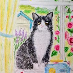 「窓際の猫」