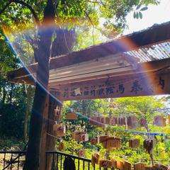 ☆市杵島神社☆神気写真☆