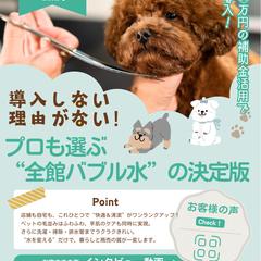 ペットサロン向け販促チラシ