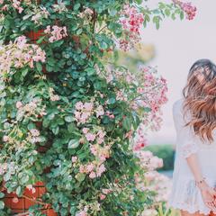 繊細だから生き辛いと思っていませんか？