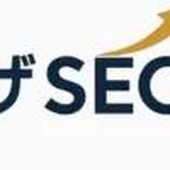ザSEO合同会社