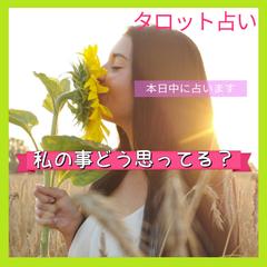 本日中に占います。