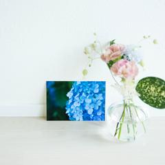 写真販売用イメージ撮影