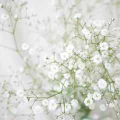 そっとそばに.*･⚘