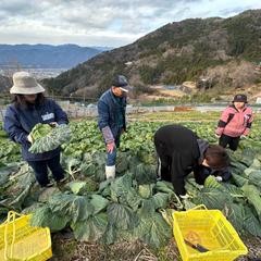 どろんこ収穫体験｜未知の野菜と出会い、未来の農園を語る1日