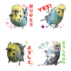 ご依頼ありがとうございました