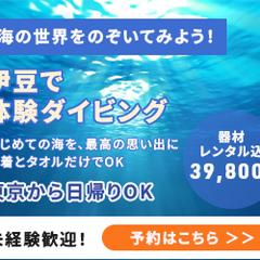 体験ダイビング募集