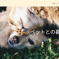 ペット保険架空サイト①