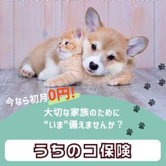ペット保険「うちのコ保険」 SNSバナー