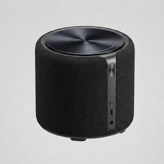 Compact speaker Design