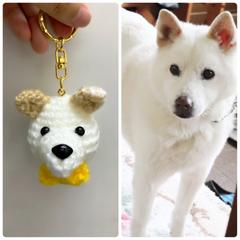 似顔絵あみぐるみの犬さん