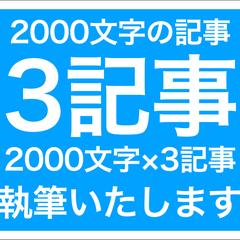 2000文字記事執筆（1,3,5記事）のサービス写真3枚目