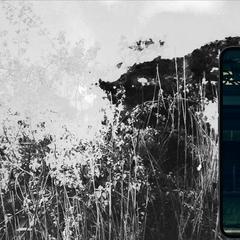 ファッションアパレルShopifyサイト