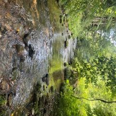 念を込めた、私の撮った写真です。