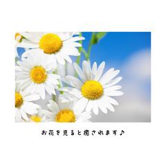 お花がかわいい♪