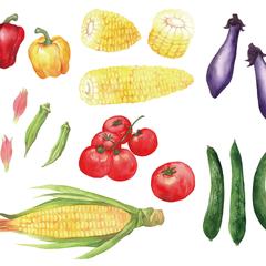 野菜を透明水彩絵の具で描きました