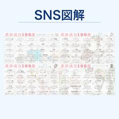 SNS図解