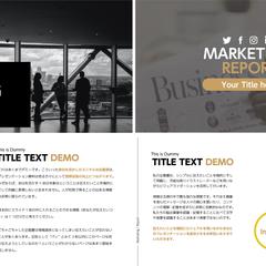 DEMO_Presentation_1_Report