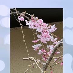 Instagramリール動画