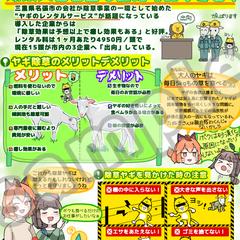 図解(グラレコ)例