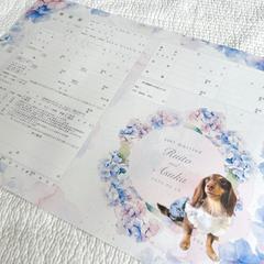 紫陽花の婚姻届